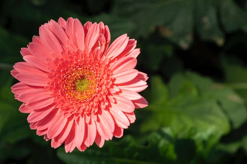 有关一般开销, 俯视图, 光的免费素材图片