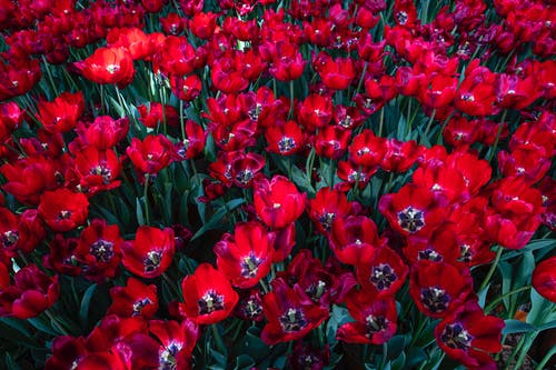 有关一串, 什锦的, 光的免费素材图片