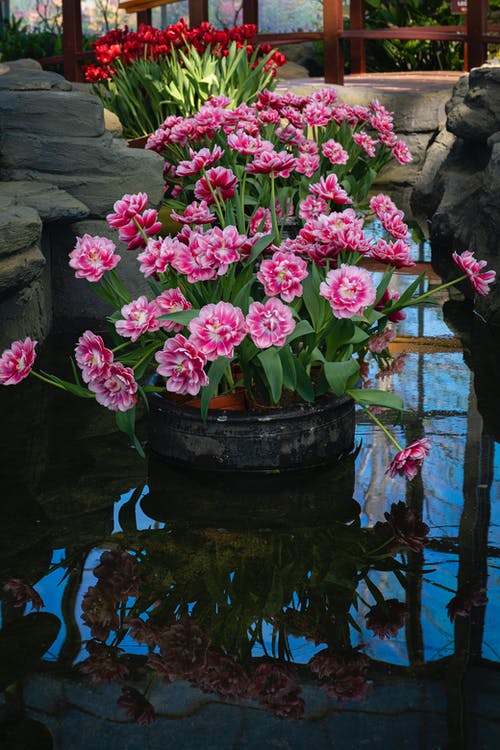 有关光, 各种, 垂直拍摄的免费素材图片