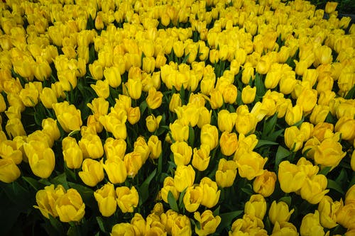 有关一串, 各种, 地平线的免费素材图片