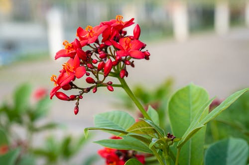 有关从下面, 低角度, 公园的免费素材图片