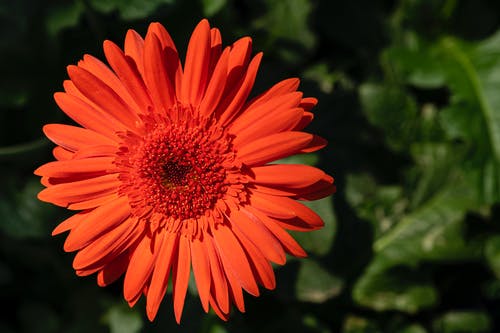 有关一般开销, 俯视图, 光的免费素材图片