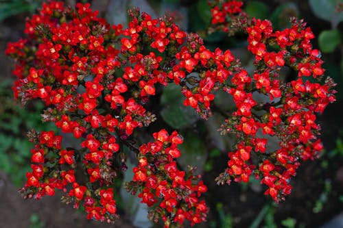 有关光, 全画幅, 公园的免费素材图片