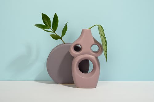 有关元素, 干, 植物的的免费素材图片