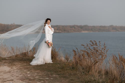 有关乾的, 事件, 优雅的免费素材图片