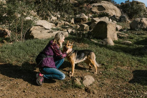 有关健行, 加州, 坐的免费素材图片