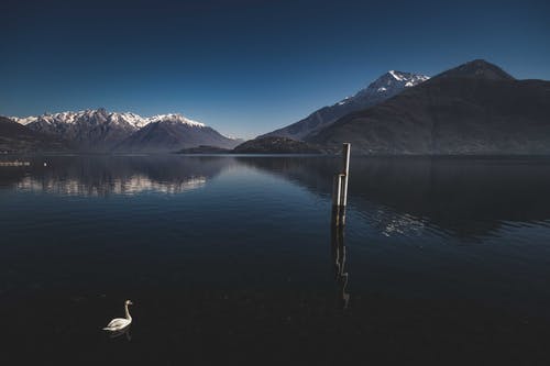 有关天性, 山, 户外的免费素材图片