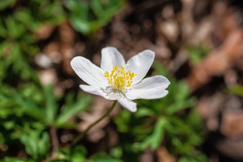 有关工厂, 户外, 景深的免费素材图片
