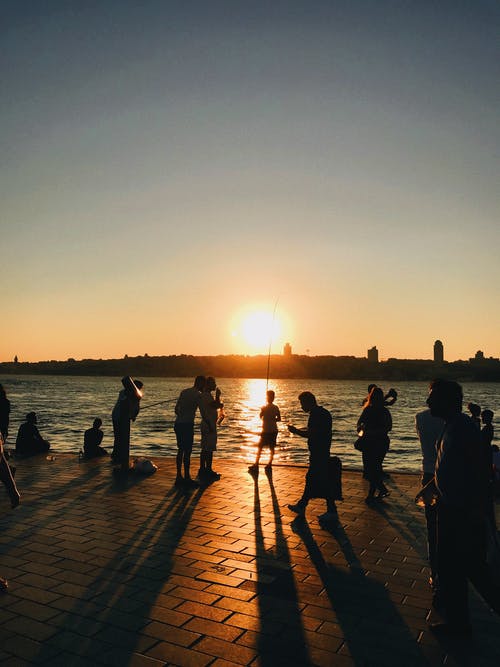 有关剪影, 垂直拍摄, 日出的免费素材图片