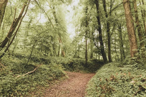 有关人行道, 充满活力, 光的免费素材图片