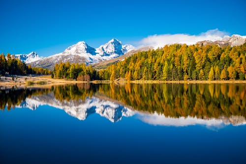 有关冷靜, 反射, 天性的免费素材图片
