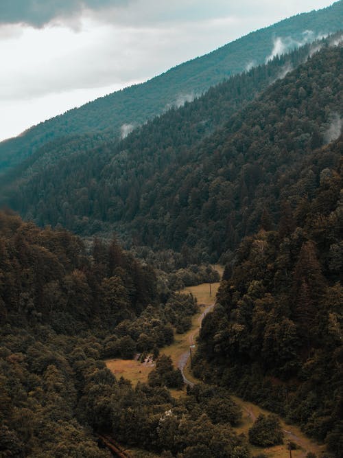 有关垂直拍摄, 天性, 山的免费素材图片