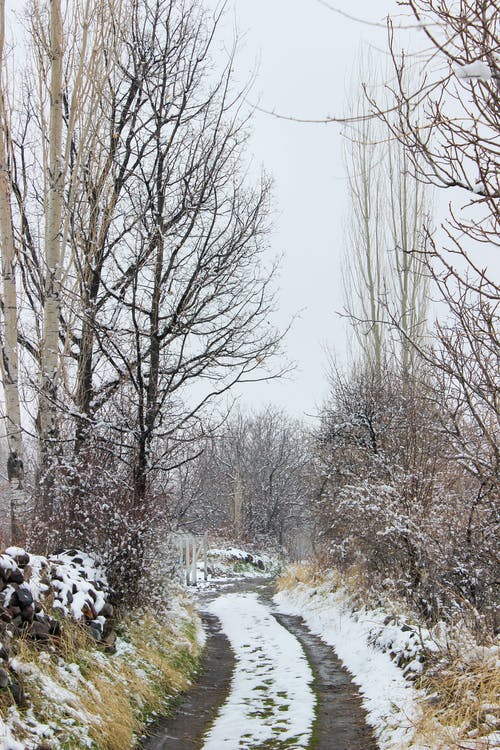 有关乾的, 光, 冬季的免费素材图片