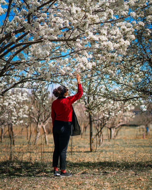有关分公司, 垂直拍摄, 女人的免费素材图片