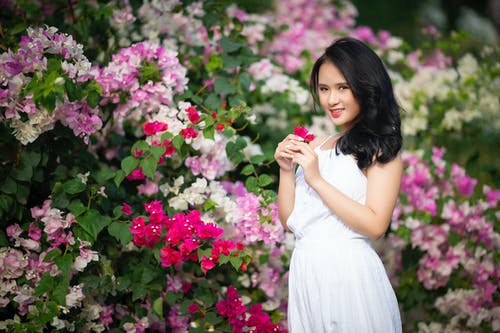 有关优雅, 公园, 冷静的免费素材图片