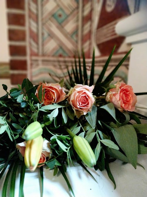 有关垂直拍摄, 插花, 植物群的免费素材图片