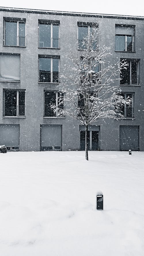 有关下雪, 冬季, 冷的免费素材图片