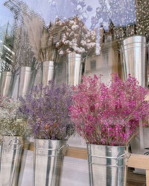 有关一串, 不一样, 交换的免费素材图片