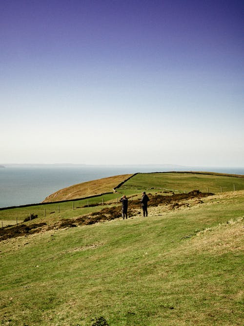 有关不露面, 佩服, 冷静的免费素材图片