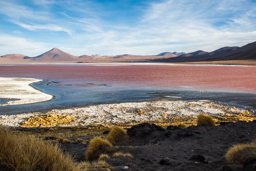 有关laguna colorada, 天性, 天空的免费素材图片