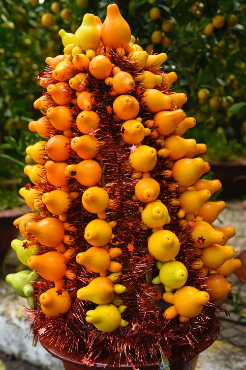 有关一串, 乳头, 公园的免费素材图片