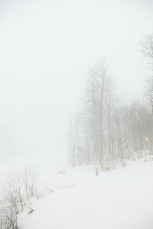 有关冬季, 垂直拍摄, 大雪覆盖的免费素材图片