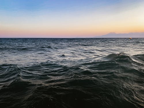 有关天性, 天空, 招手的免费素材图片