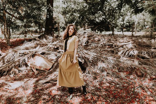 有关乾燥, 信心, 优雅的免费素材图片