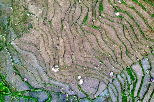 有关俯视图, 农业用地, 户外的免费素材图片