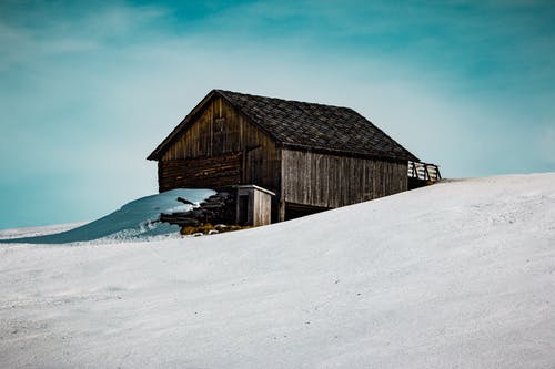 有关冬季, 冷, 冷冻的免费素材图片
