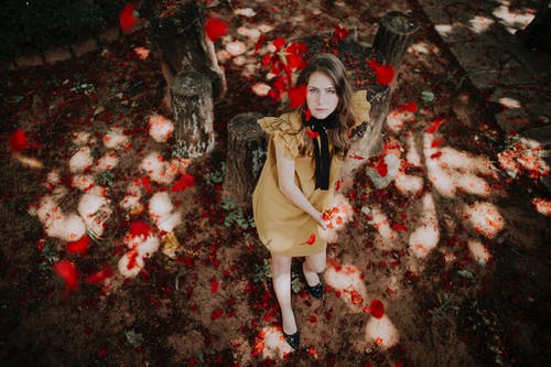 有关一瞥, 优雅, 公园的免费素材图片