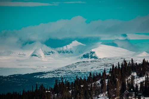有关冬季, 冷, 冷冻的免费素材图片