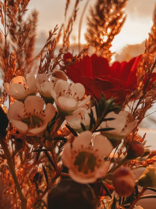 有关一串, 作文, 充满活力的免费素材图片