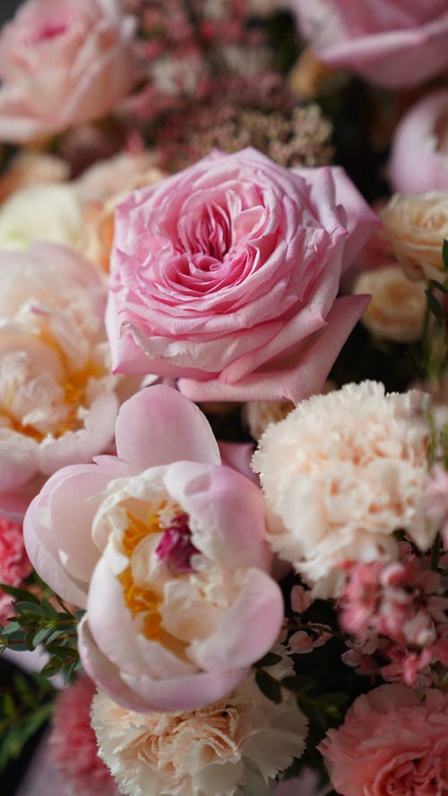 有关一串, 事件, 什锦的的免费素材图片