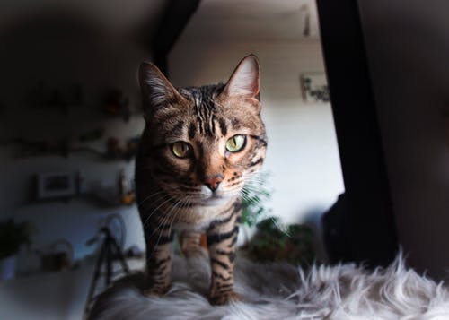 有关伴侣, 冷静, 利益的免费素材图片