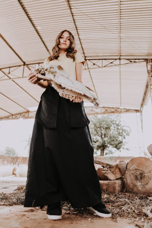 有关一瞥, 从下面, 低角度的免费素材图片