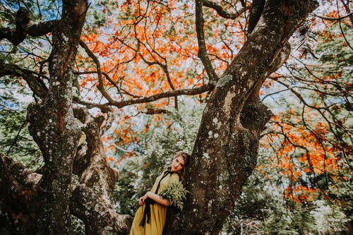 有关优雅, 冷静, 分公司的免费素材图片