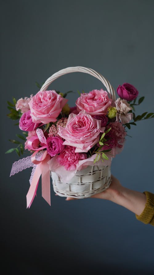 有关什锦的, 令人惊叹, 垂直拍摄的免费素材图片