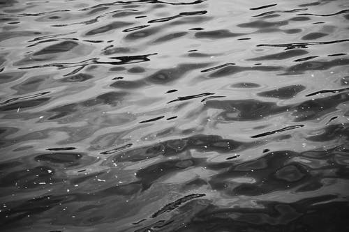 有关单色, 水, 水面的免费素材图片