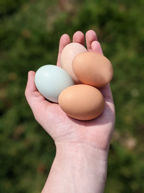 有关什锦的, 垂直拍摄, 手的免费素材图片