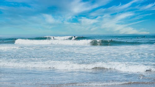 有关surfboarders, 休闲, 加州的免费素材图片