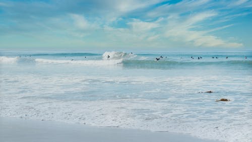 有关surfboarders, 休闲, 加州的免费素材图片