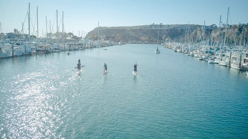 有关sup, 休闲, 停泊的免费素材图片
