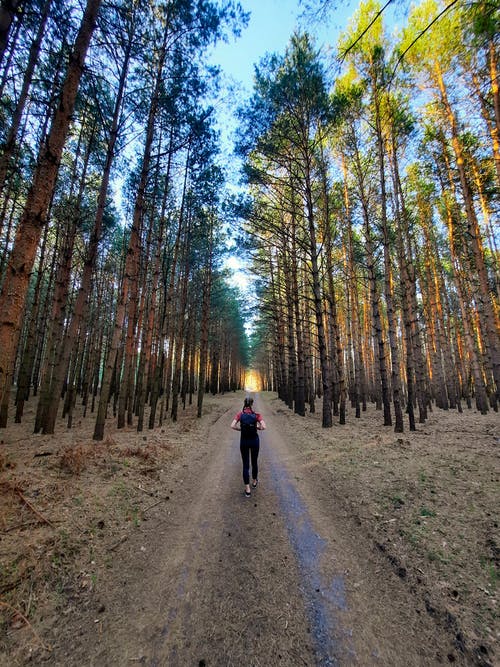 有关垂直拍摄, 女人, 小徑的免费素材图片
