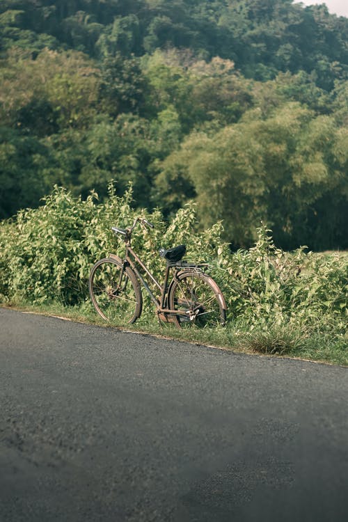 有关停, 冷静, 和平的的免费素材图片