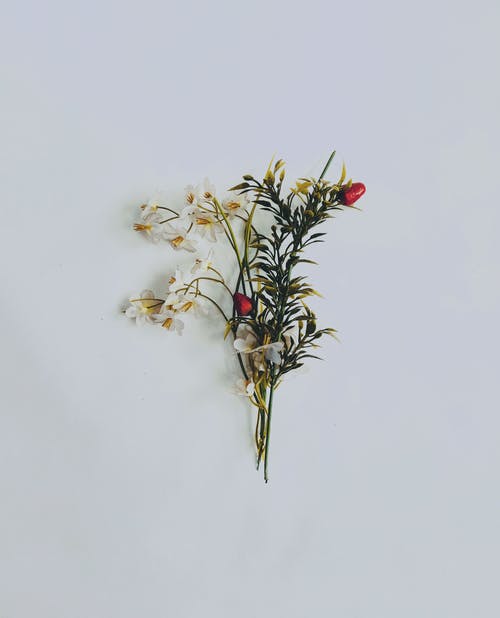 有关Copyspace, 一般开销, 什锦的的免费素材图片