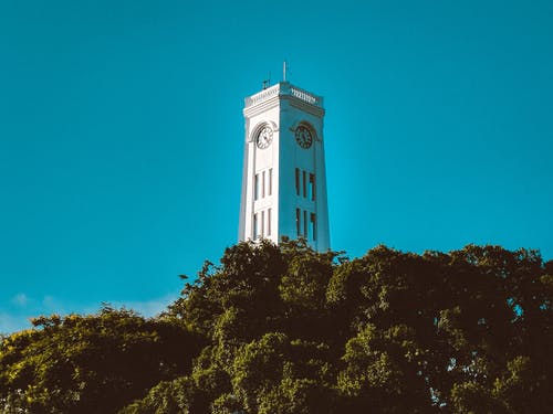 有关中央, 从下面, 低角度的免费素材图片