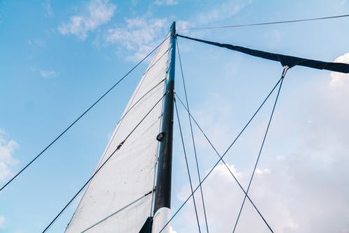 有关从下面, 低角度, 假期的免费素材图片