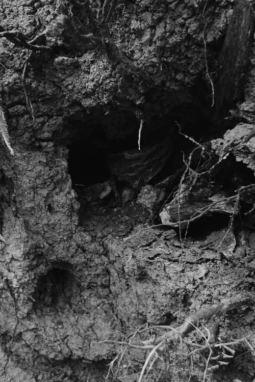 有关bw, 不均匀的, 元素的免费素材图片