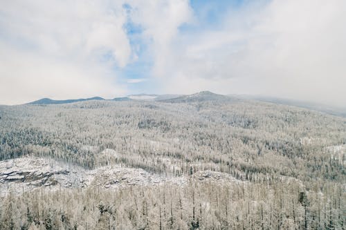 有关冬天的背景, 冬季, 冬季景观的免费素材图片